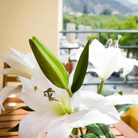 Holidays2malaga Terraza & Junto Puerto Deportivo * 马拉加